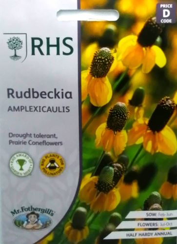 Rudbeckia Amplexicaulis RHS Seeds